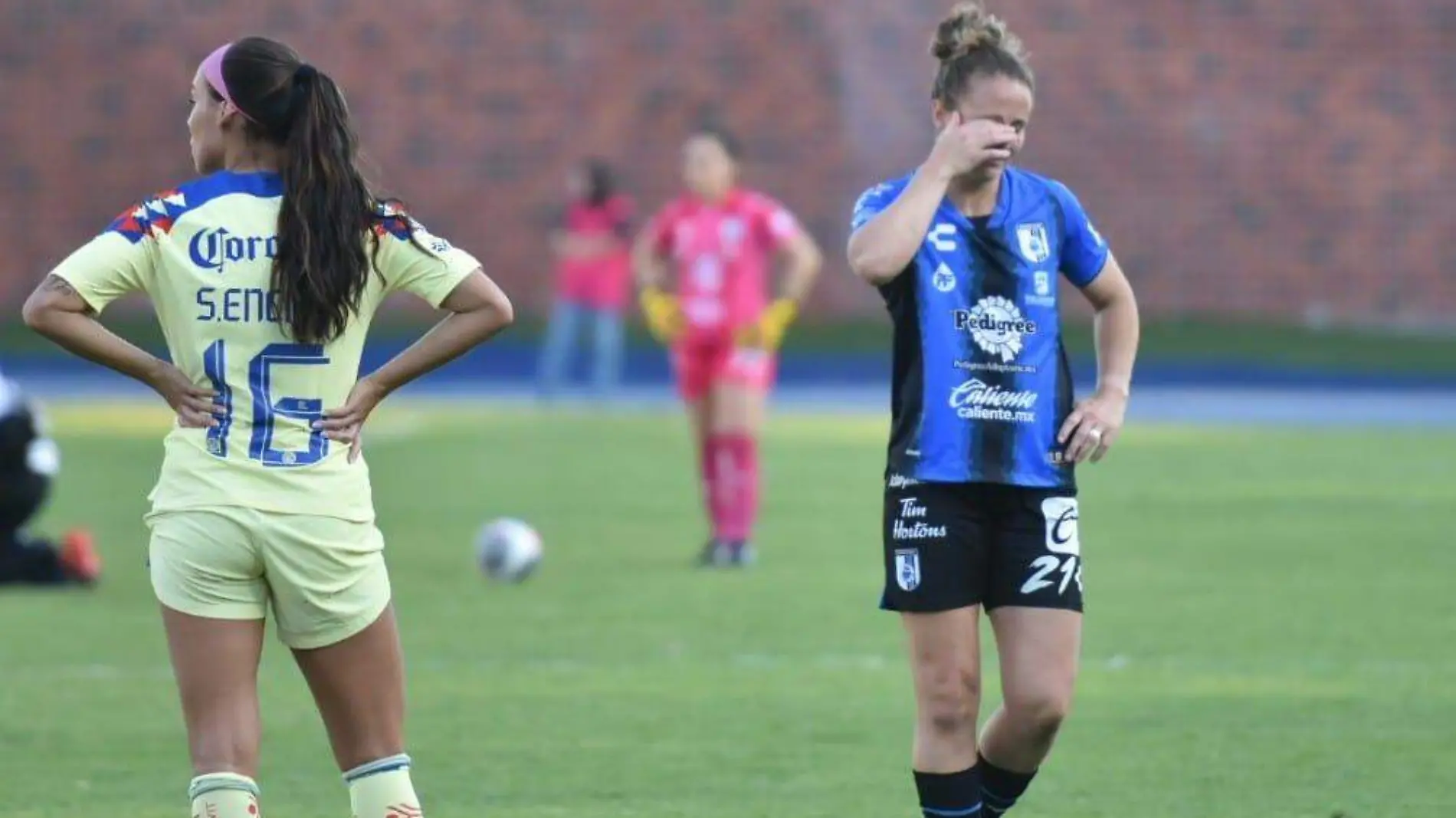 gallos femenil 2